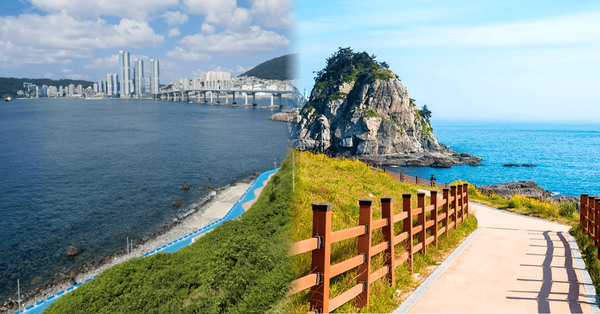 온라인 커뮤니티 / 트리플