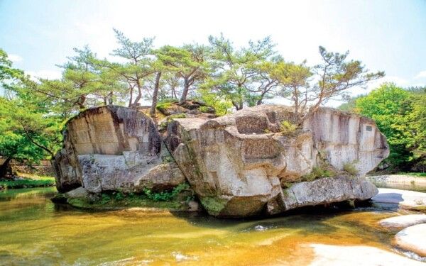 온라인 커뮤니티