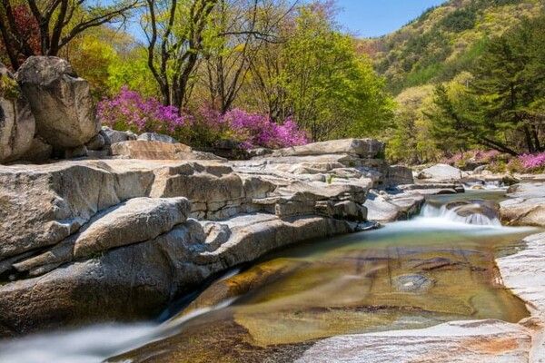 온라인 커뮤니티