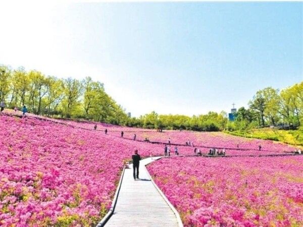 온라인 커뮤니티