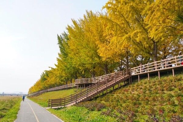 온라인 커뮤니티