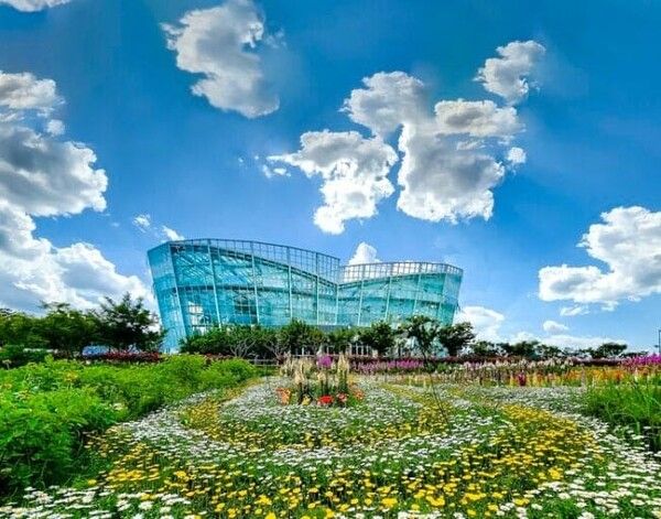 온라인 커뮤니티