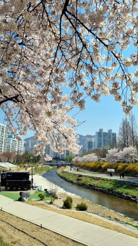 온라인 커뮤니티