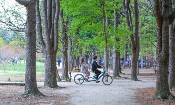 온라인 커뮤니티