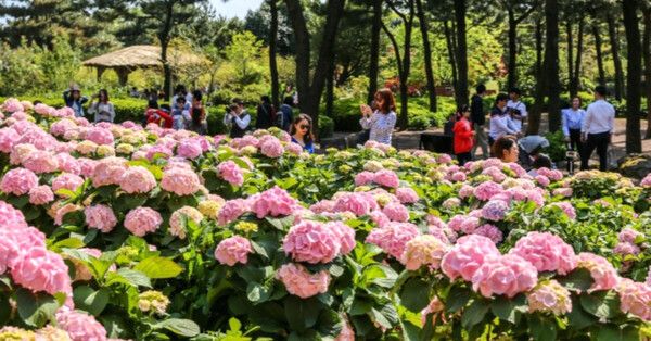 온라인 커뮤니티