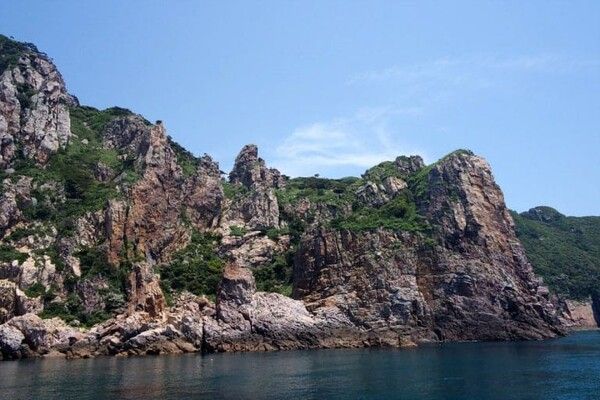 온라인 커뮤니티