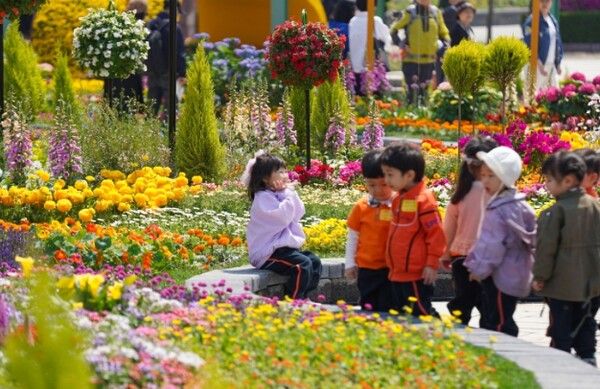 온라인 커뮤니티