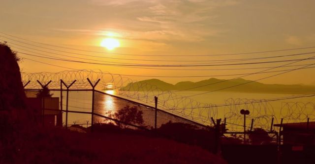 온라인 커뮤니티