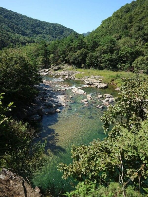 온라인 커뮤니티