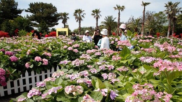 온라인 커뮤니티