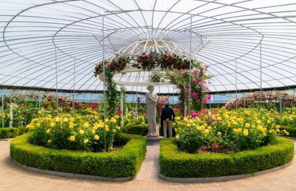 온라인 커뮤니티