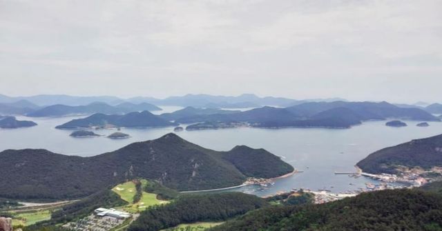 온라인 커뮤니티