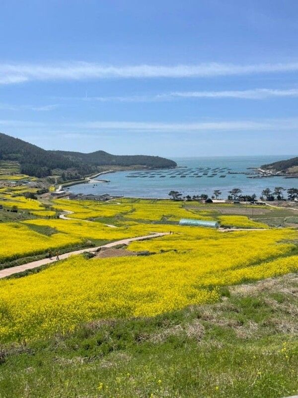 온라인 커뮤니티