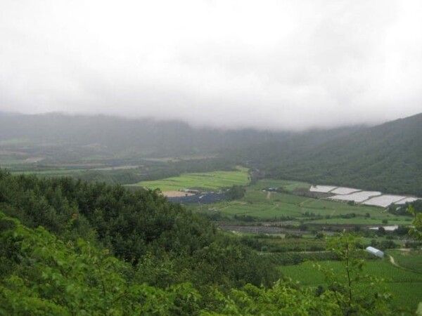 온라인 커뮤니티