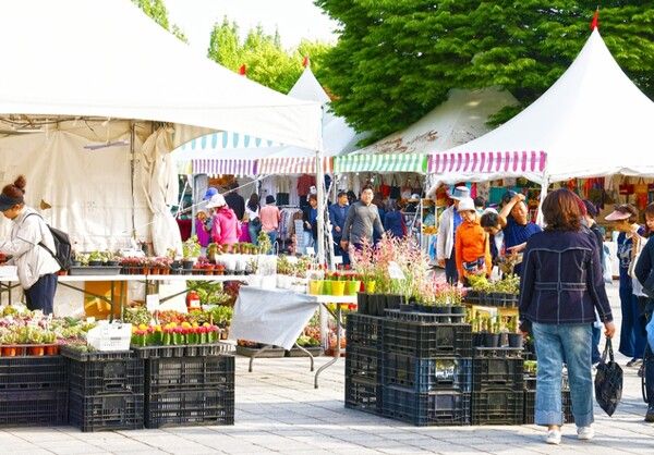 온라인 커뮤니티