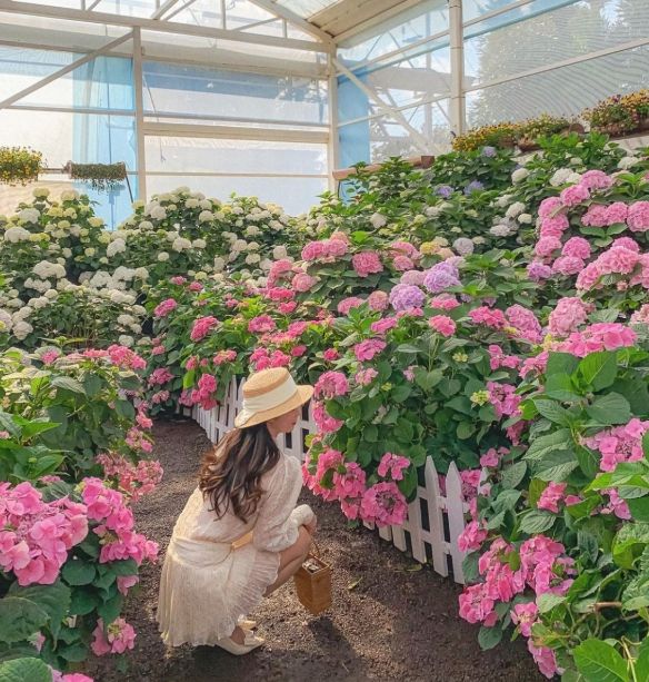 온라인 커뮤니티