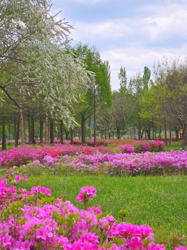 온라인 커뮤니티