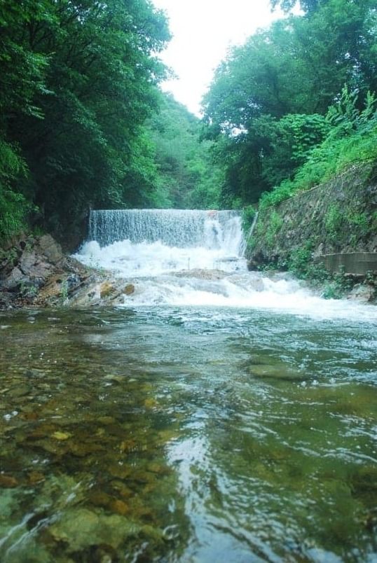 온라인 커뮤니티