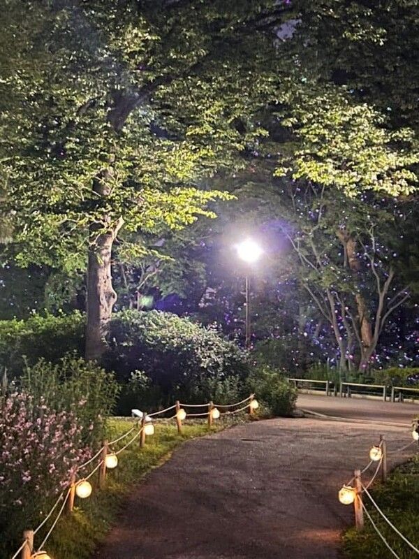 온라인 커뮤니티