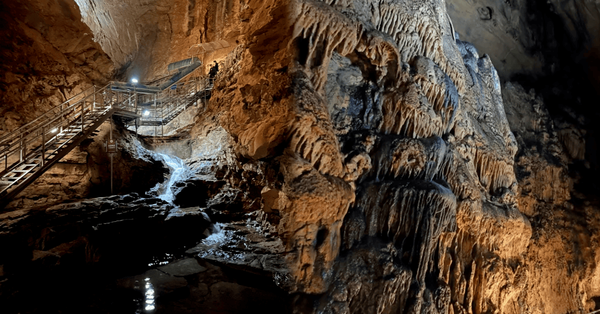 트리플 / 온라인 커뮤니티