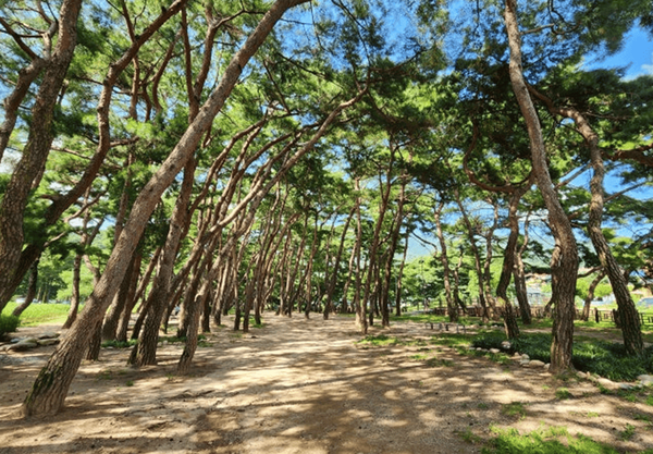 온라인 커뮤니티