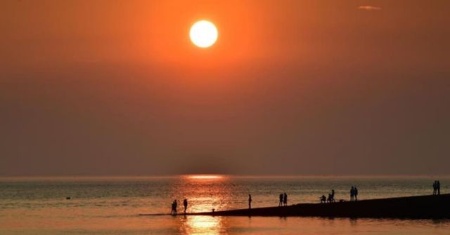 온라인 커뮤니티