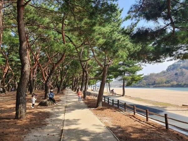 온라인 커뮤니티