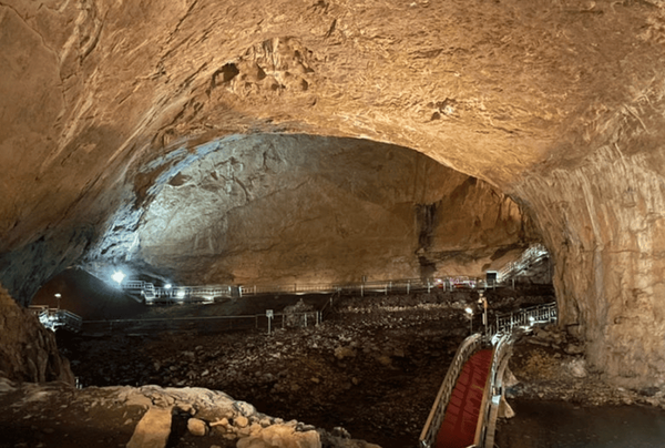 온라인 커뮤니티