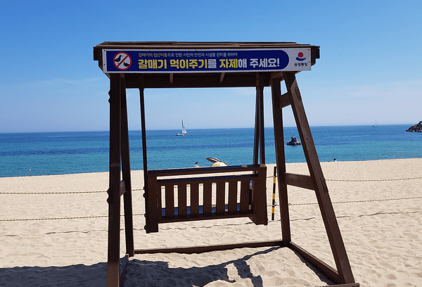 온라인 커뮤니티