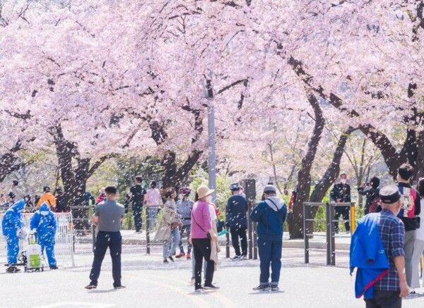 온라인 커뮤니티
