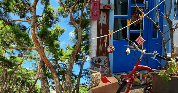 온라인 커뮤니티