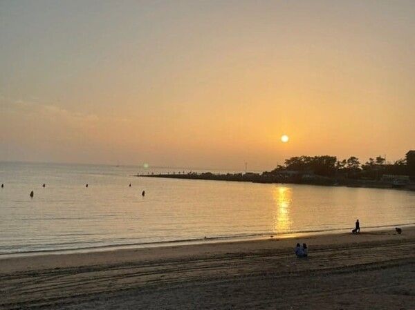 온라인 커뮤니티