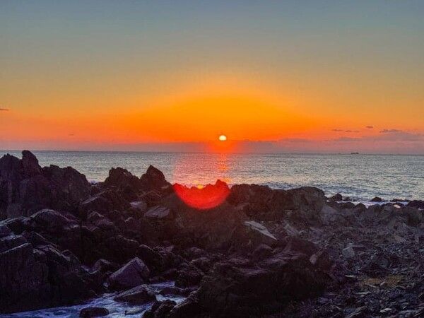 온라인 커뮤니티