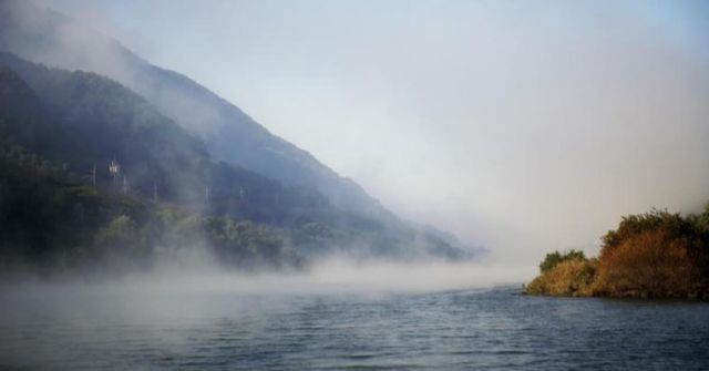 온라인 커뮤니티