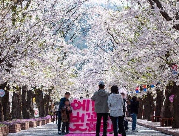 온라인 커뮤니티