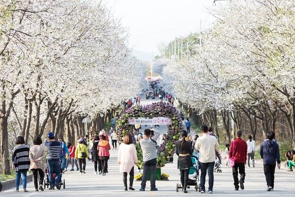 온라인 커뮤니티