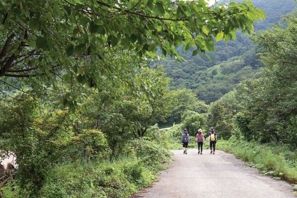 온라인 커뮤니티