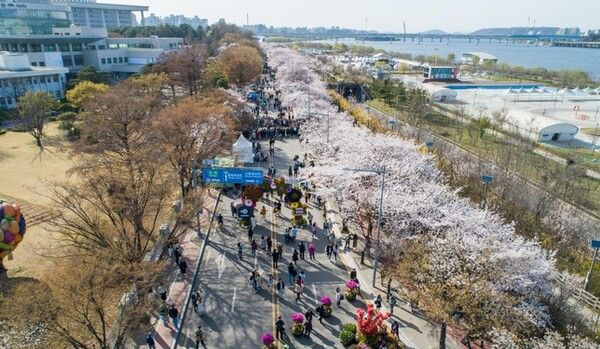 온라인 커뮤니티