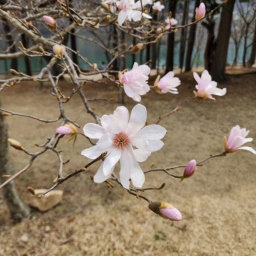 온라인 커뮤니티