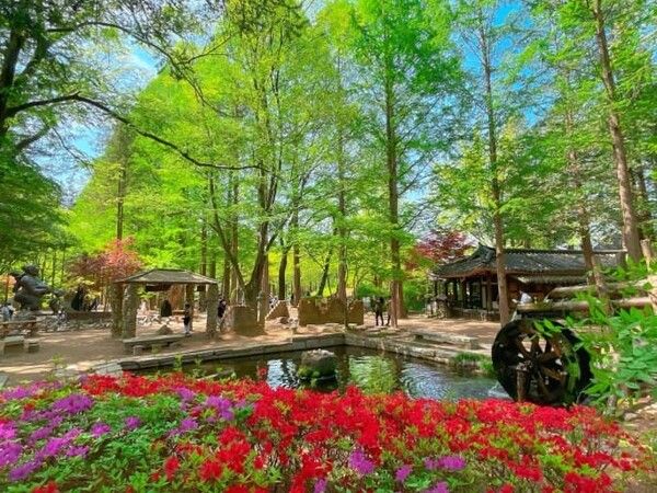 온라인 커뮤니티