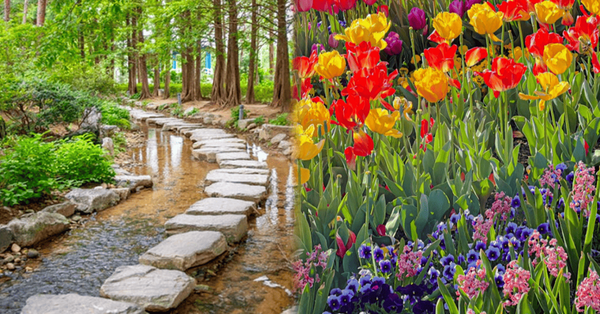 온라인 커뮤니티