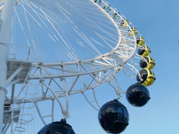 온라인 커뮤니티