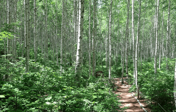 온라인 커뮤니티