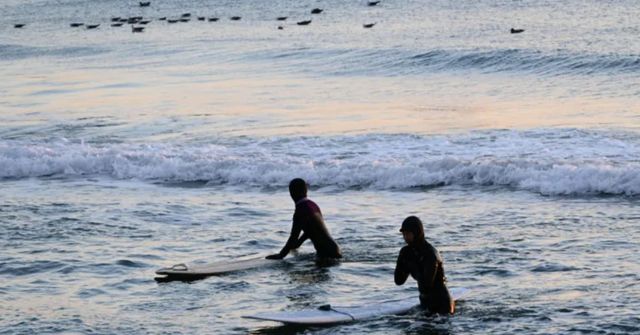 온라인 커뮤니티