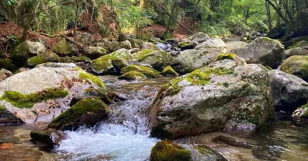 온라인 커뮤니티