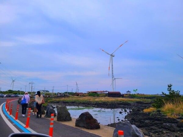 온라인 커뮤니티