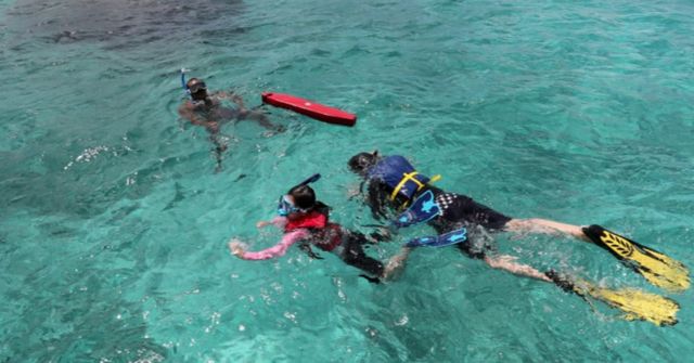 온라인 커뮤니티