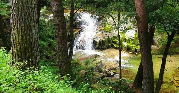 온라인 커뮤니티