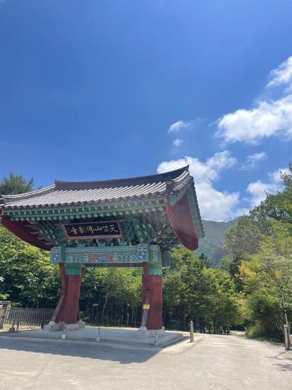 온라인 커뮤니티