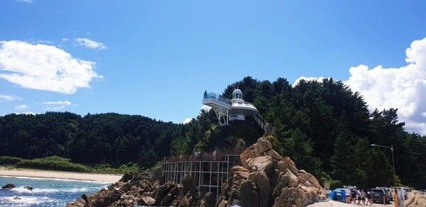 온라인 커뮤니티